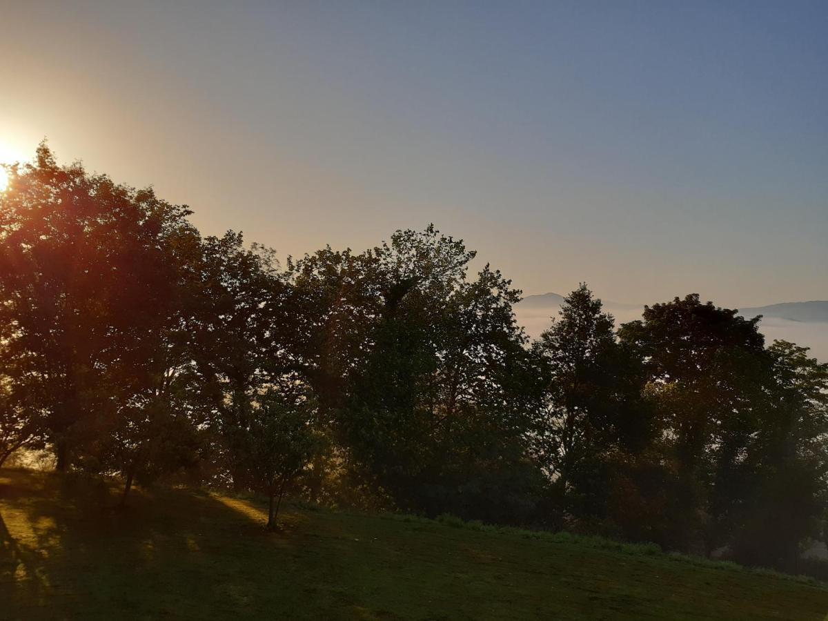 B&B Eguzkitza Elgeta Екстер'єр фото